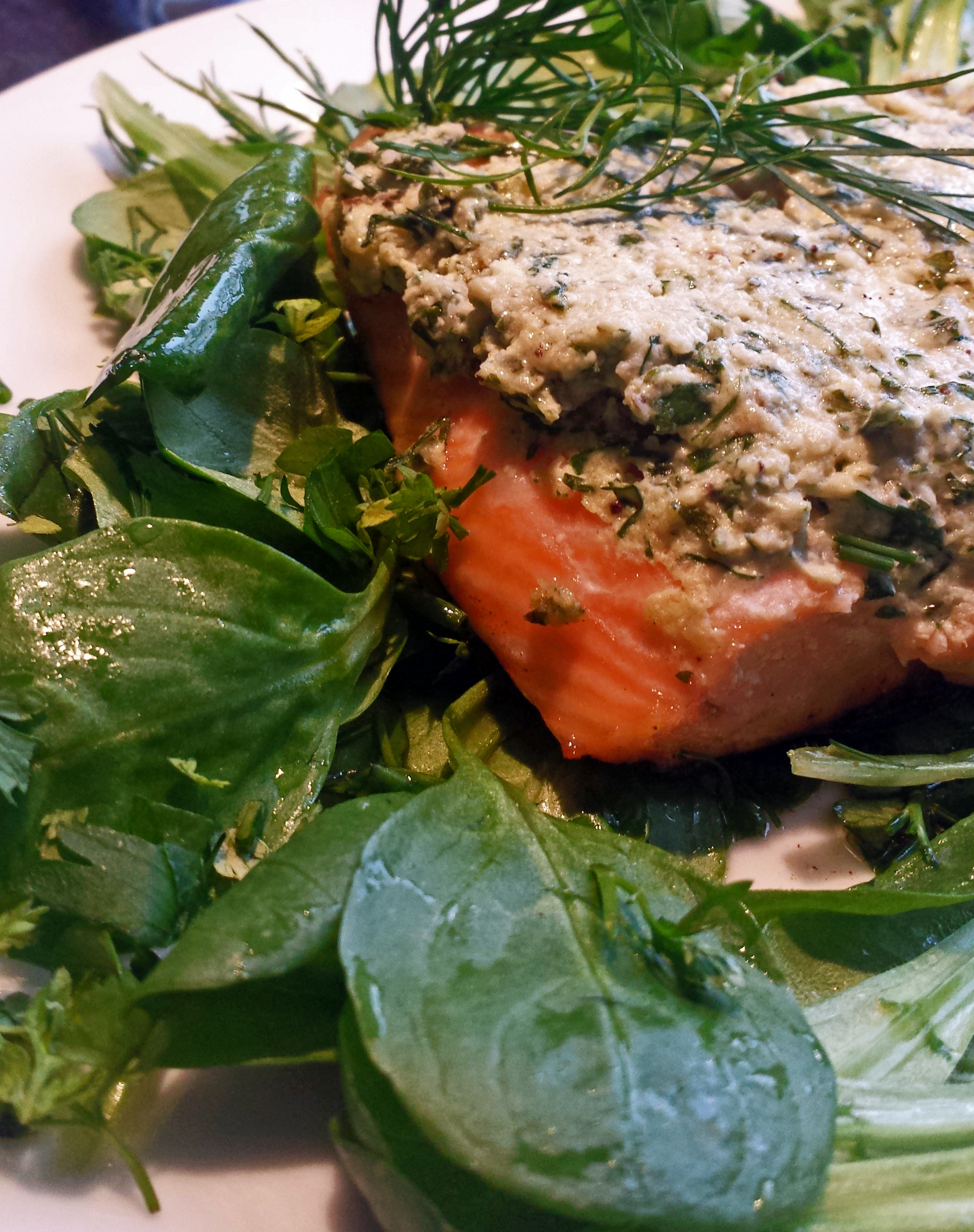 Lachs mit Kräutern auf Feldsalat